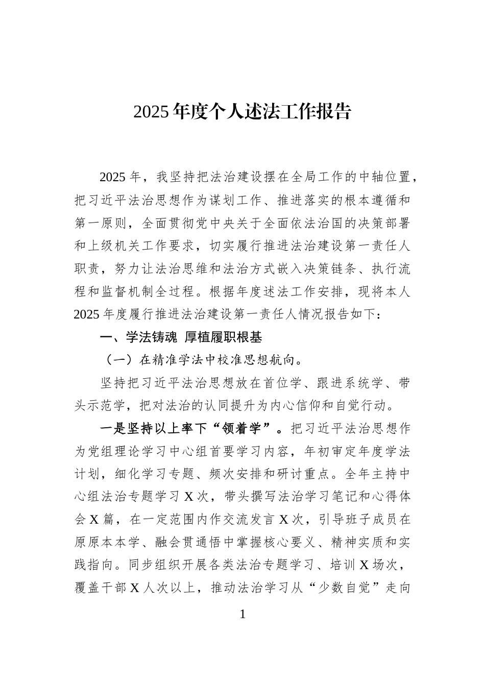 2025年度个人述法工作报告_第1页