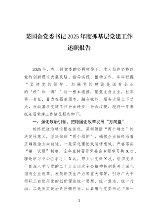 某国企党委书记2025年度抓基层党建工作述职报告