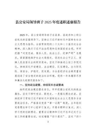 县公安局领导班子2025年度述职述廉报告