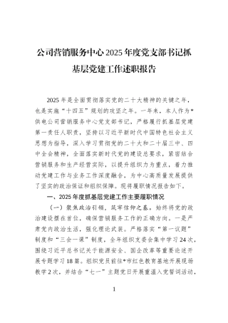 公司营销服务中心2025年度党支部书记抓基层党建工作述职报告