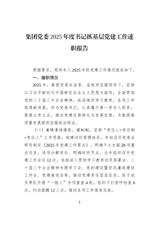 集团党委2025年度书记抓基层党建工作述职报告