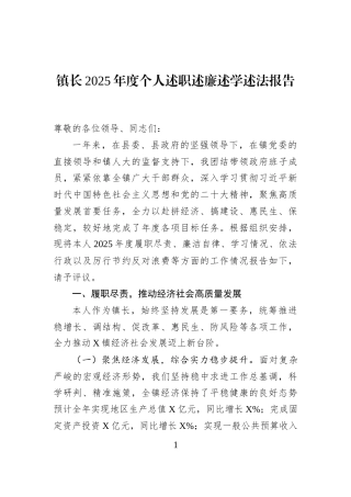 镇长2025年度个人述职述廉述学述法报告
