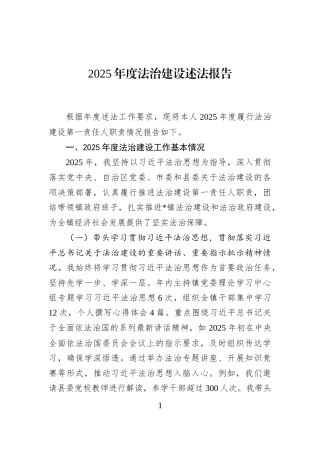 2025年度法治建设述法报告