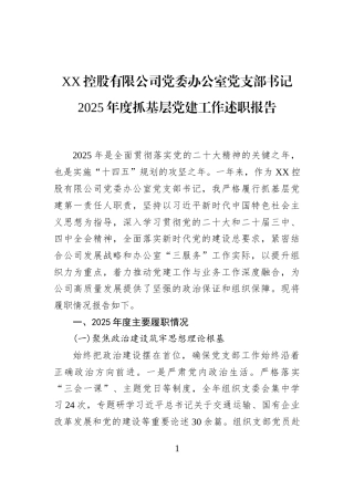 XX控股有限公司党委办公室党支部书记2025年度抓基层党建工作述职报告