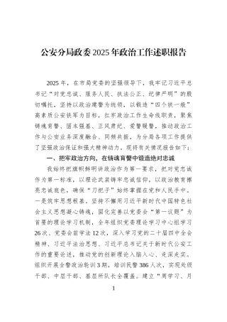公安分局政委2025年政治工作述职报告