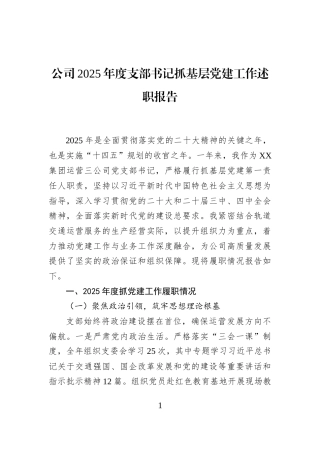 公司2025年度支部书记抓基层党建工作述职报告