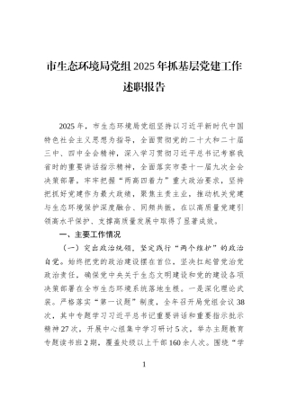 市生态环境局党组2025年抓基层党建工作述职报告