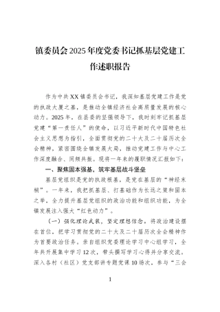 镇委员会2025年度党委书记抓基层党建工作述职报告