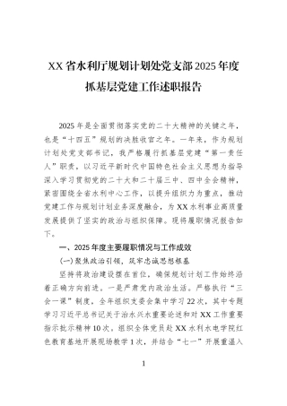XX省水利厅规划计划处党支部2025年度抓基层党建工作述职报告
