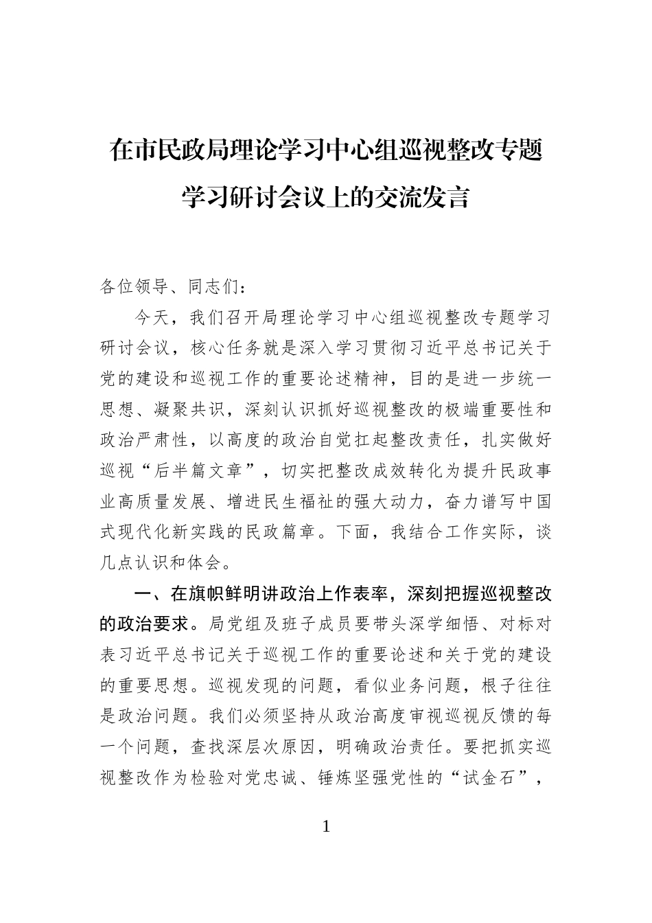 在市民政局理论学习中心组巡视整改专题学习研讨会议上的交流发言_第1页