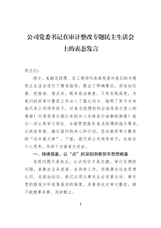 公司党委书记在审计整改专题民主生活会上的表态发言