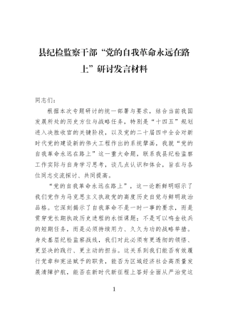 县纪检监察干部“党的自我革命永远在路上”研讨发言材料