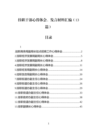 挂职干部心得体会、发言材料汇编（13篇）