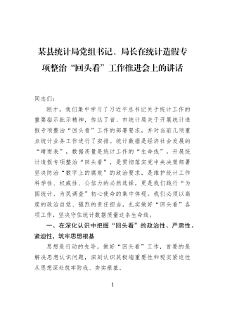 某县统计局党组书记、局长在统计造假专项整治“回头看”工作推进会上的讲话