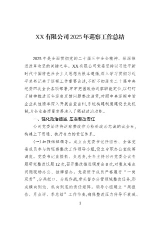 XX有限公司2025年巡察工作总结