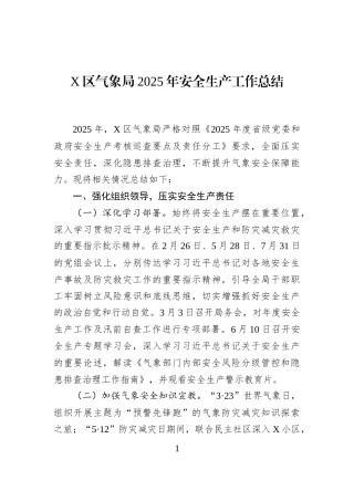 X区气象局2025年安全生产工作总结