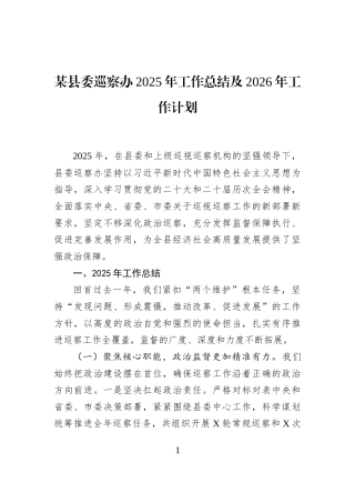 某县委巡察办2025年工作总结及2026年工作计划