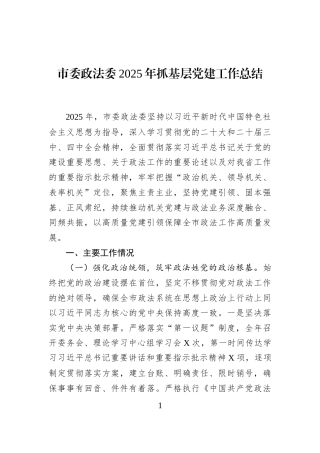 市委政法委2025年抓基层党建工作总结