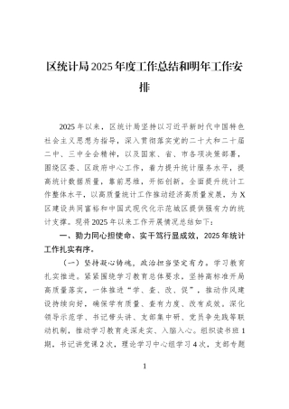 区统计局2025年度工作总结和明年工作安排