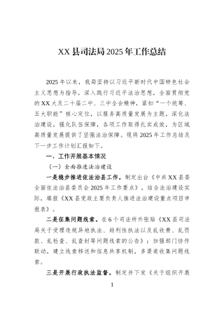XX县司法局2025年工作总结