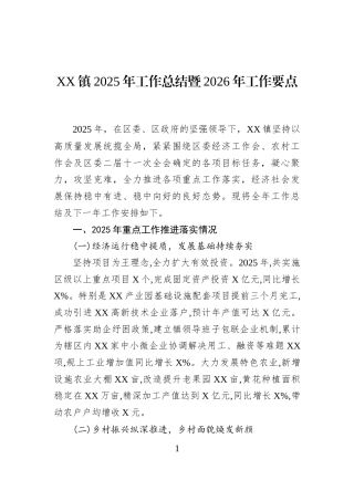 XX镇2025年工作总结暨2026年工作要点