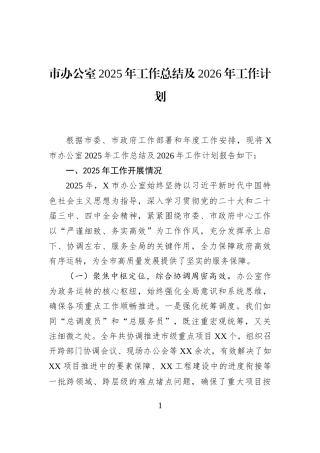 市办公室2025年工作总结及2026年工作计划