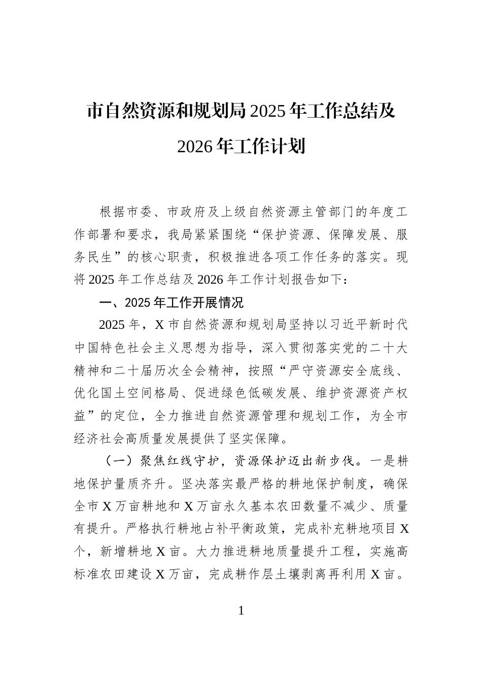 市自然资源和规划局2025年工作总结及2026年工作计划_第1页