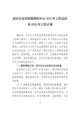 县区公安局情报指挥中心2025年工作总结及2026年工作计划