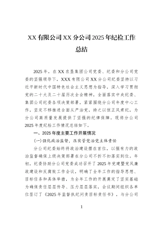 XX有限公司XX分公司2025年纪检工作总结