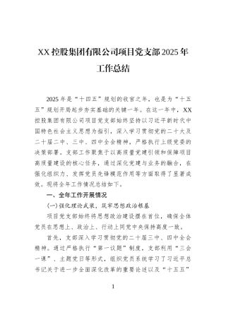 XX控股集团有限公司项目党支部2025年工作总结