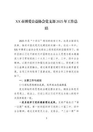 XX市博爱公益协会党支部2025年工作总结
