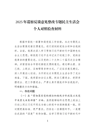 2025年巡察反馈意见整改专题民主生活会个人对照检查材料