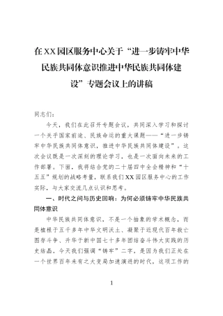 在XX园区服务中心关于“进一步铸牢中华民族共同体意识推进中华民族共同体建设”专题会议上的讲稿