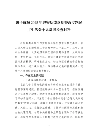 班子成员2025年巡察反馈意见整改专题民主生活会个人对照检查材料