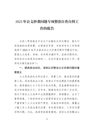 2025年公文抄袭问题专项整治自查自纠工作的报告