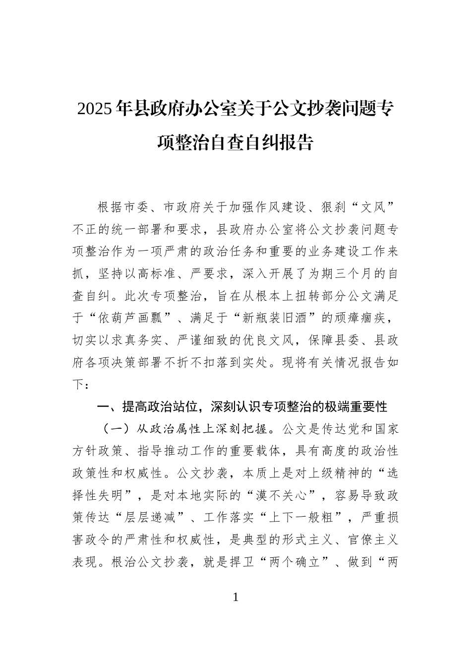 2025年县政府办公室关于公文抄袭问题专项整治自查自纠报告_第1页
