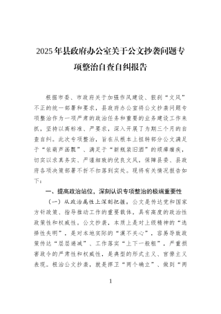 2025年县政府办公室关于公文抄袭问题专项整治自查自纠报告