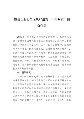 副县长履行全面从严治党“一岗双责”情况报告