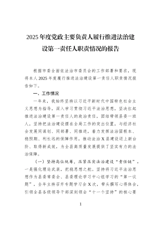 2025年度党政主要负责人履行推进法治建设第一责任人职责情况的报告