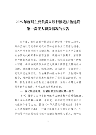 2025年度局主要负责人履行推进法治建设第一责任人职责情况的报告