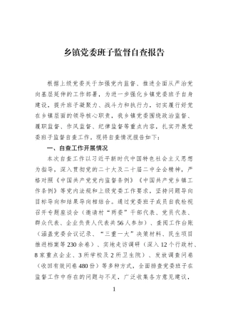 乡镇党委班子监督自查报告