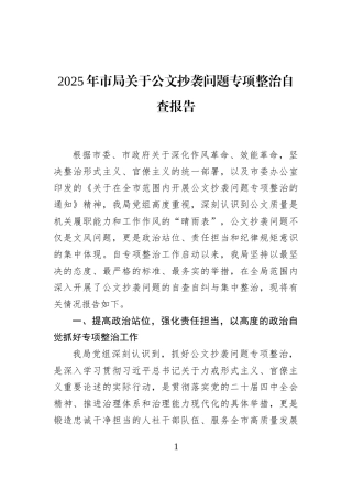 2025年市局关于公文抄袭问题专项整治自查报告