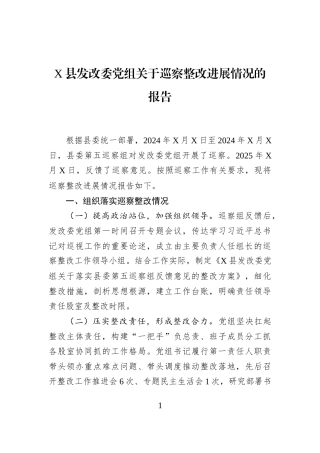 X县发改委党组关于巡察整改进展情况的报告