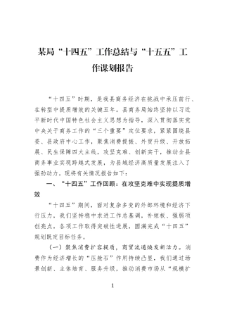 某局“十四五”工作总结与“十五五”工作谋划报告