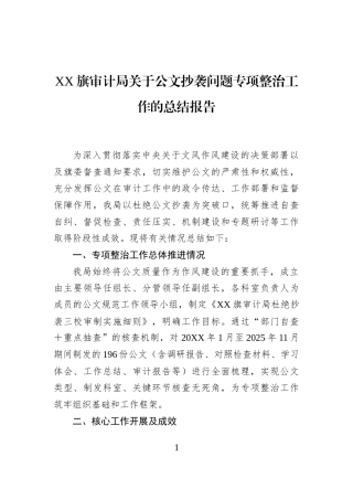 XX旗审计局关于公文抄袭问题专项整治工作的总结报告