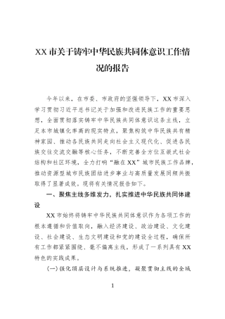 XX市关于铸牢中华民族共同体意识工作情况的报告