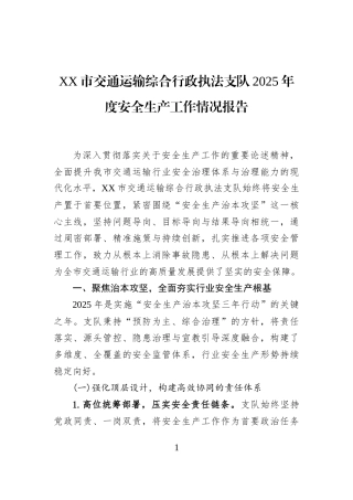 XX市交通运输综合行政执法支队2025年度安全生产工作情况报告