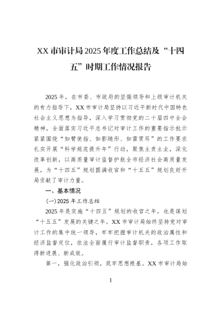 XX市审计局2025年度工作总结及“十四五”时期工作情况报告
