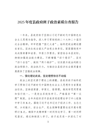 2025年度县政府班子政治素质自查报告