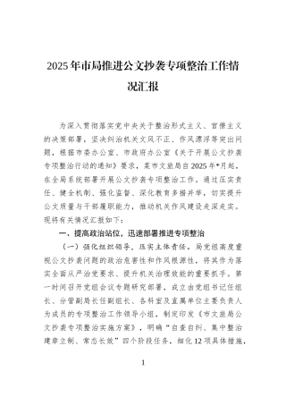 2025年市局推进公文抄袭专项整治工作情况汇报